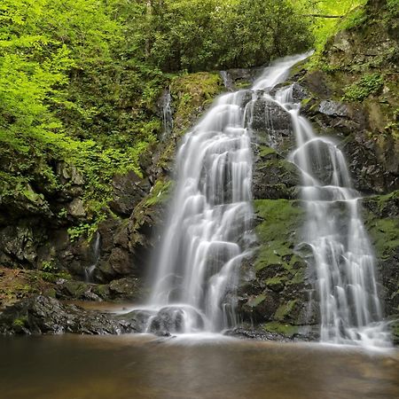 Four Bears Den, Hot Tub, 1089 Of Free Attraction Tickets For Each Paid Day, Dollywood And More 蓋特林堡 外观 照片