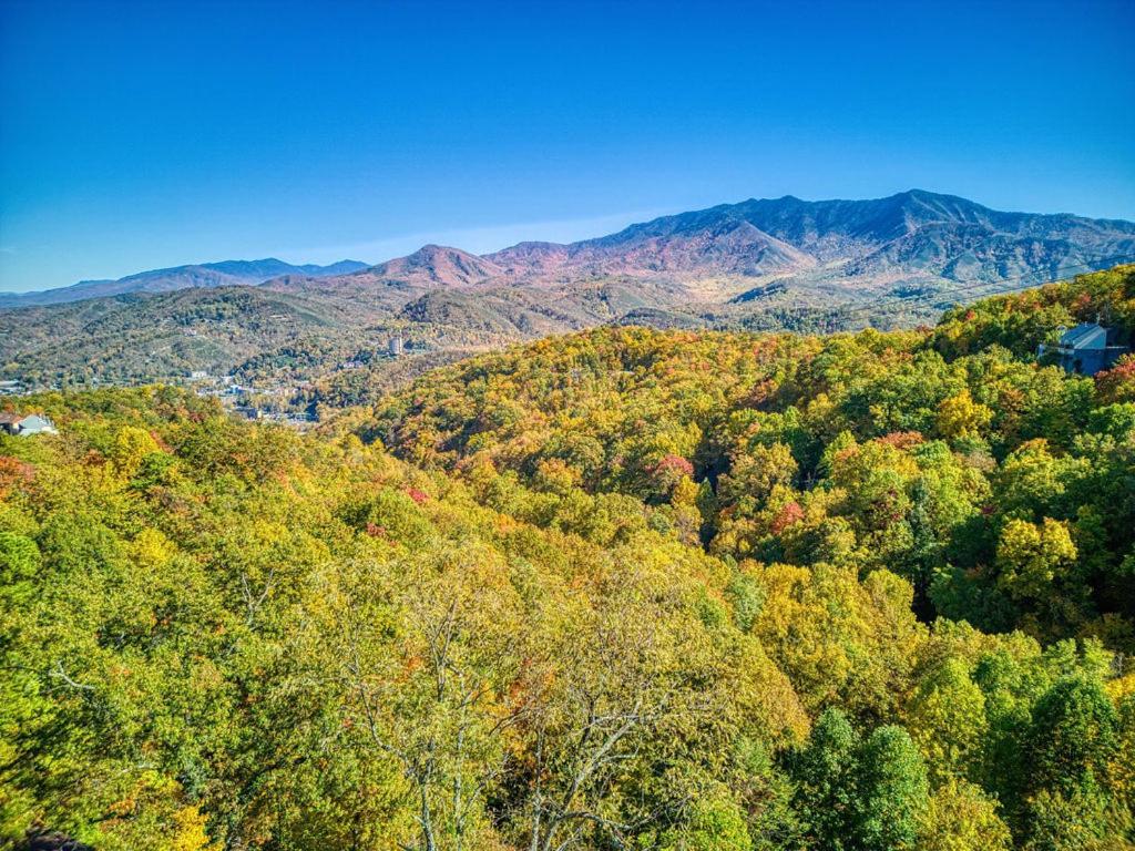 Four Bears Den, Hot Tub, 1089 Of Free Attraction Tickets For Each Paid Day, Dollywood And More 蓋特林堡 外观 照片