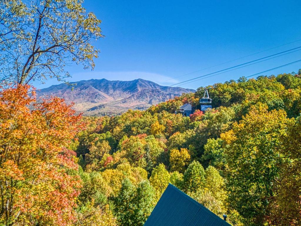 Four Bears Den, Hot Tub, 1089 Of Free Attraction Tickets For Each Paid Day, Dollywood And More 蓋特林堡 外观 照片