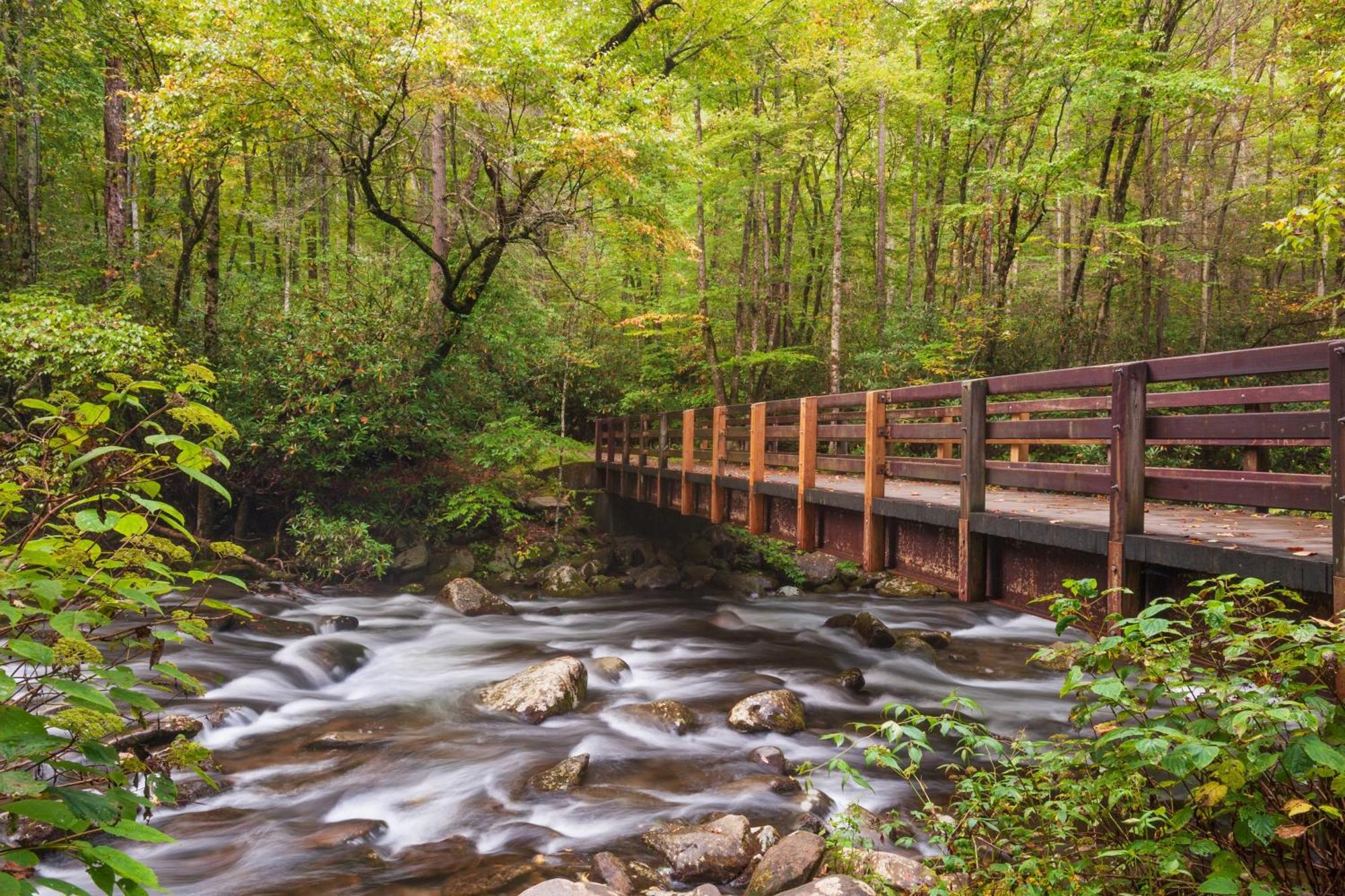 Four Bears Den, Hot Tub, 1089 Of Free Attraction Tickets For Each Paid Day, Dollywood And More 蓋特林堡 外观 照片