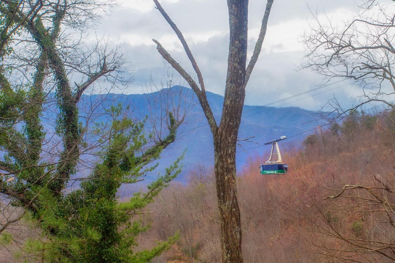 Four Bears Den, Hot Tub, 1089 Of Free Attraction Tickets For Each Paid Day, Dollywood And More 蓋特林堡 外观 照片